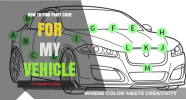 Locate Your Vehicle's Paint Code: A Quick and Easy Guide