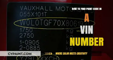 Finding Your Car's Paint Code: The VIN Method