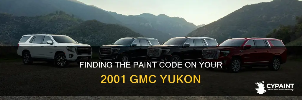 how to find paint code on 2001 gmc yukon