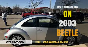 Locate Your 2003 Beetle's Paint Code: A Quick Guide