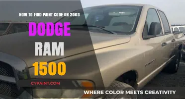 Locate Your 2003 Dodge Ram 1500 Paint Code Easily