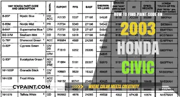 Finding Your 2003 Honda Civic's Paint Code