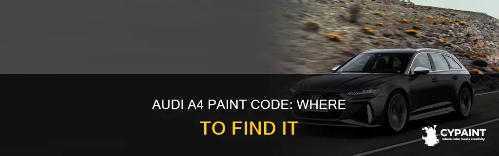 how to find paint code on 2004 audi a4