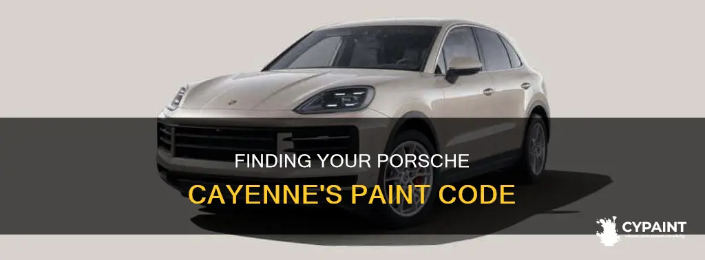 how to find paint code on 2004 porsche cayenne