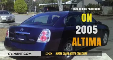 Locate Your 2005 Altima's Paint Code: A Quick Guide