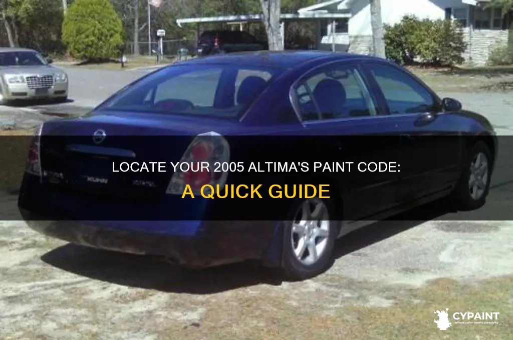 how to find paint code on 2005 altima