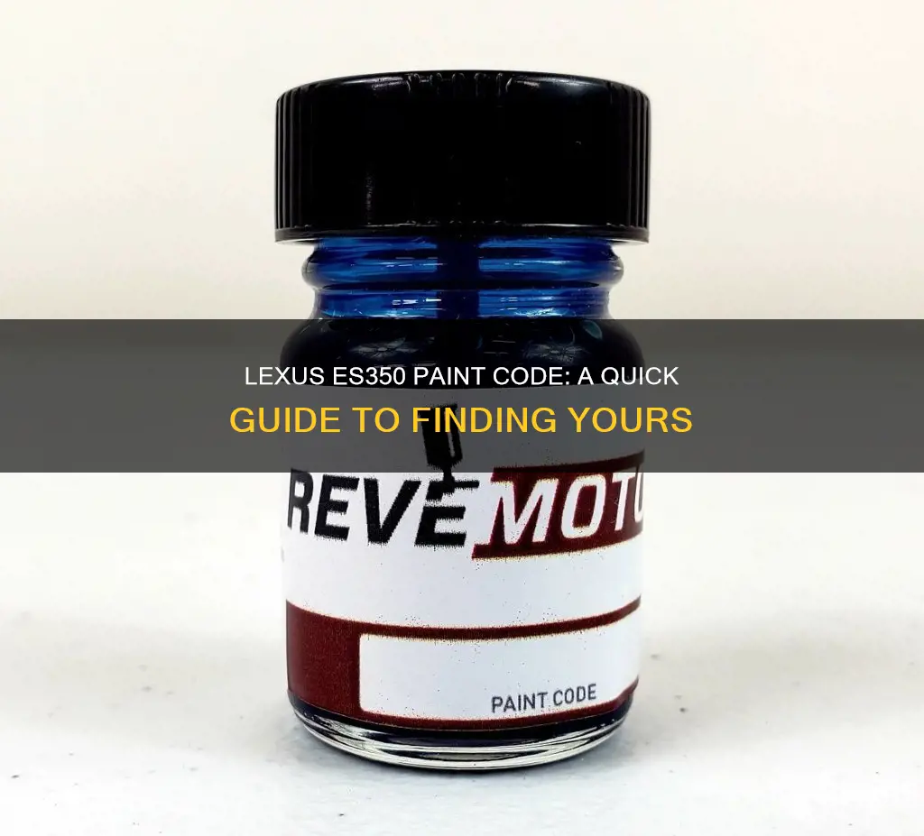 how to find paint code on 2007 lexus es350