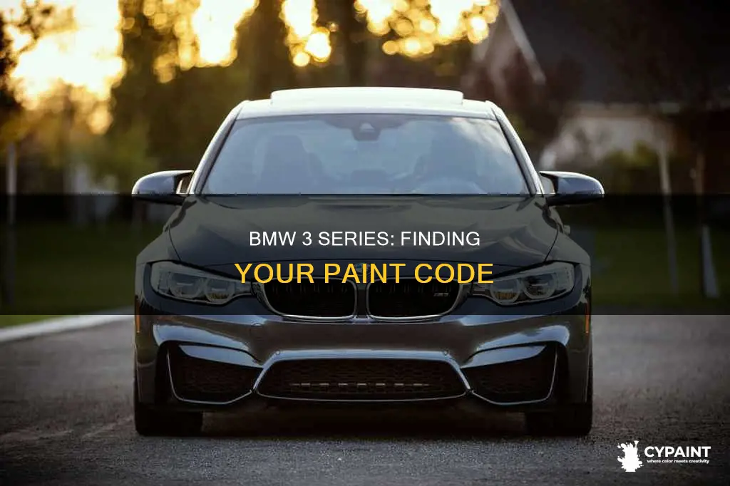 how to find paint code on bmw 3 series