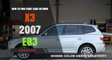 Locate Your 2007 BMW X3 E83 Paint Code Easily