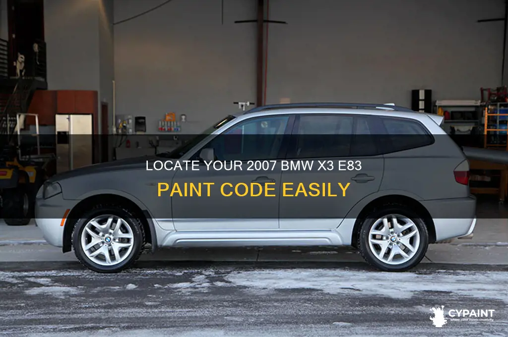 how to find paint code on bmw x3 2007 e83