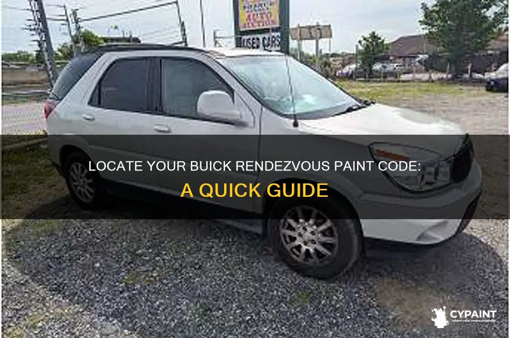 how to find paint code on buick rendevous