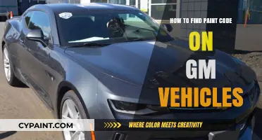 Locate Your GM Vehicle's Paint Code: A Quick Guide