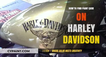 Locate Your Harley-Davidson Paint Code: A Quick & Easy Guide