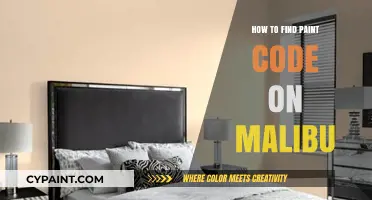 Locate Your Malibu's Paint Code: A Quick and Easy Guide
