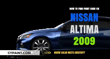 Finding the Paint Code for a 2009 Nissan Altima