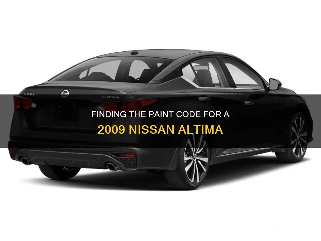 how to find paint code on nissan altima 2009