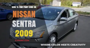 Finding the Paint Code for a 2009 Nissan Sentra
