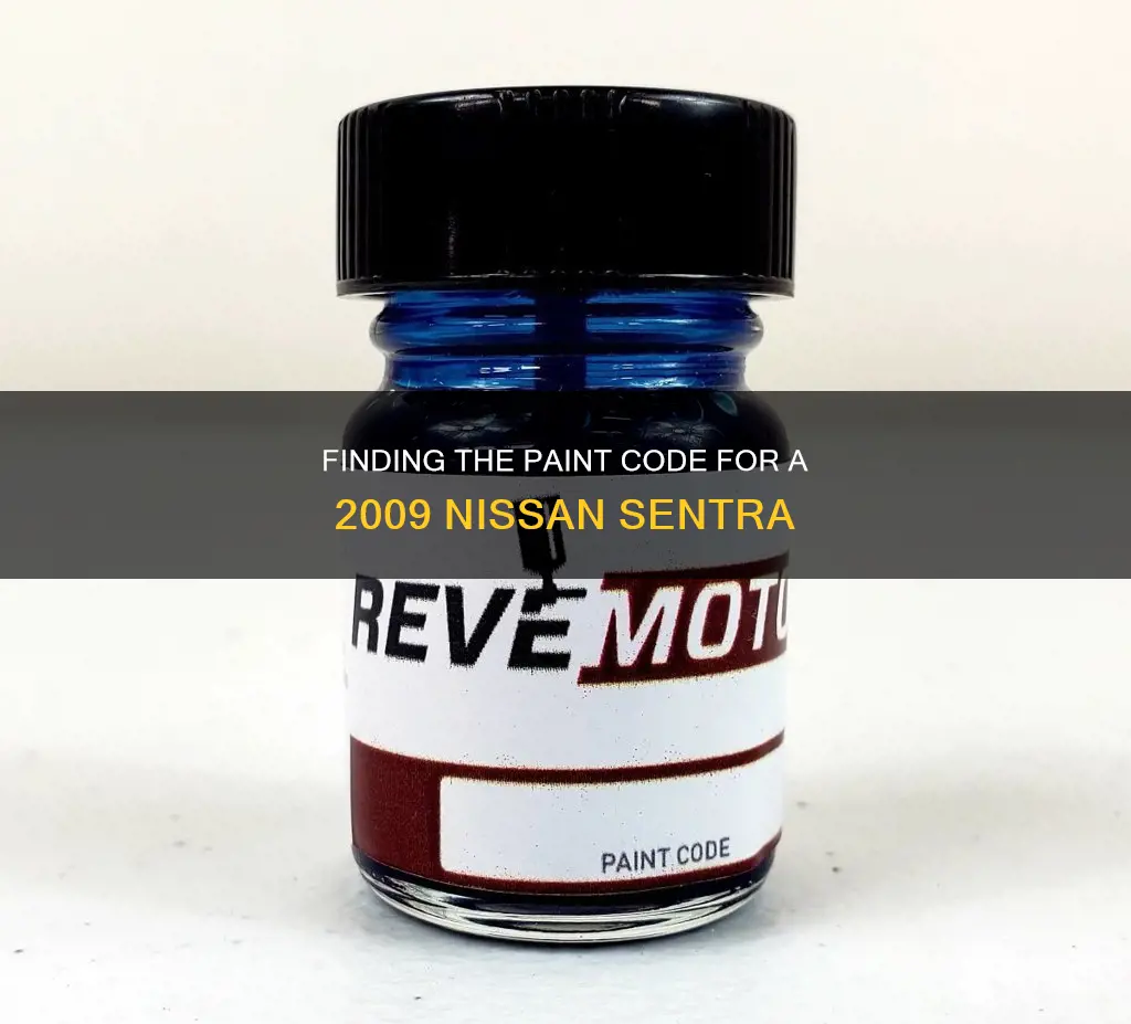 how to find paint code on nissan sentra 2009