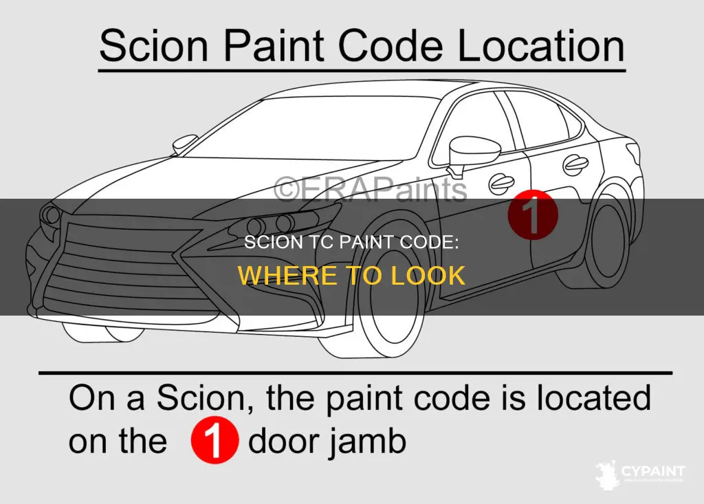 how to find paint code on scion tc 2008