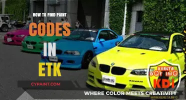 Discovering Paint Codes in ETK: A Step-by-Step Guide for Enthusiasts