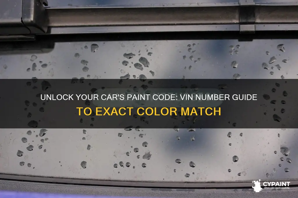 how to find paint colour from vin number
