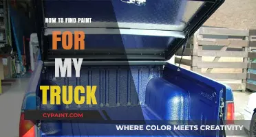 Choosing the Perfect Paint: A Guide to Revamping Your Truck's Look