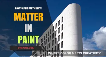 Detecting Particulate Matter in Paint: A Comprehensive Testing Guide
