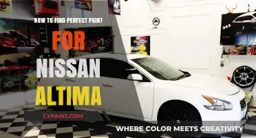 Choosing the Ideal Paint for Your Nissan Altima: A Comprehensive Guide