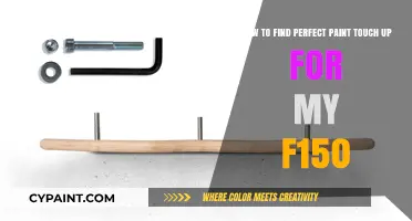 Finding the Perfect Paint Touch-Up Solution for Your Ford F150