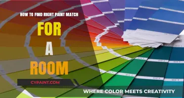 Finding the Perfect Paint Match for Your Room