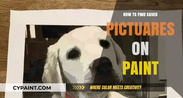 Locate Your Saved Paint Creations: A Quick Guide to Finding Pictures