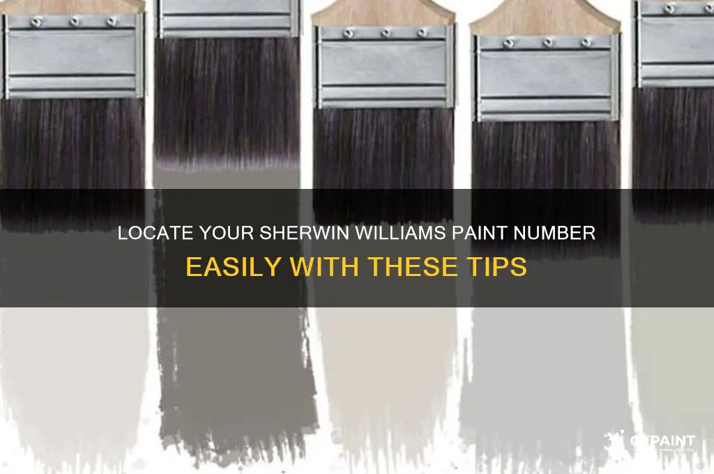 how to find sherwin williams paint number