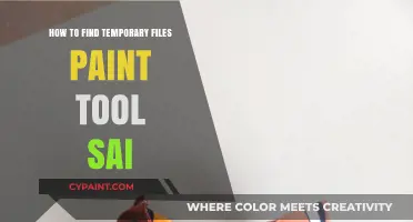 Locate and Manage Temporary Files in Paint Tool SAI Easily