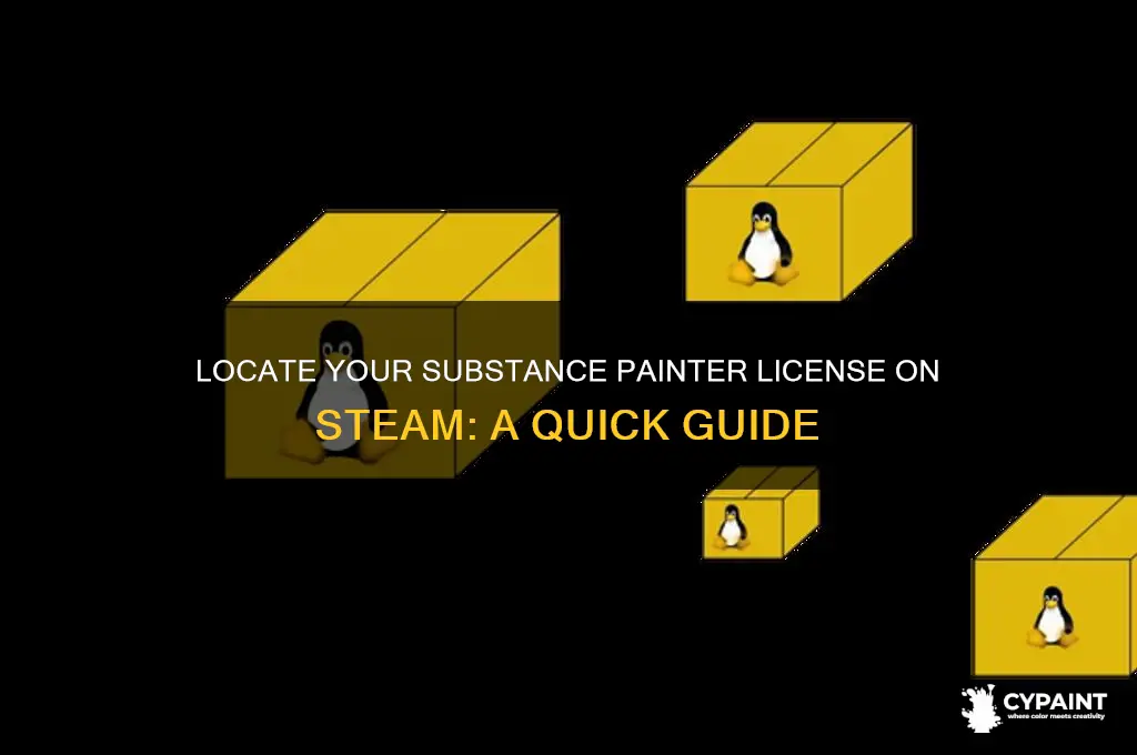 how to find the license for substance painter on steam