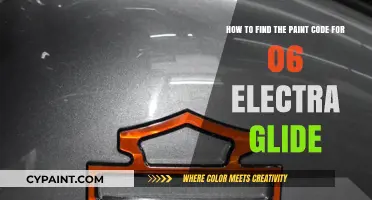 Locate Your 06 Electra Glide Paint Code: A Quick Guide