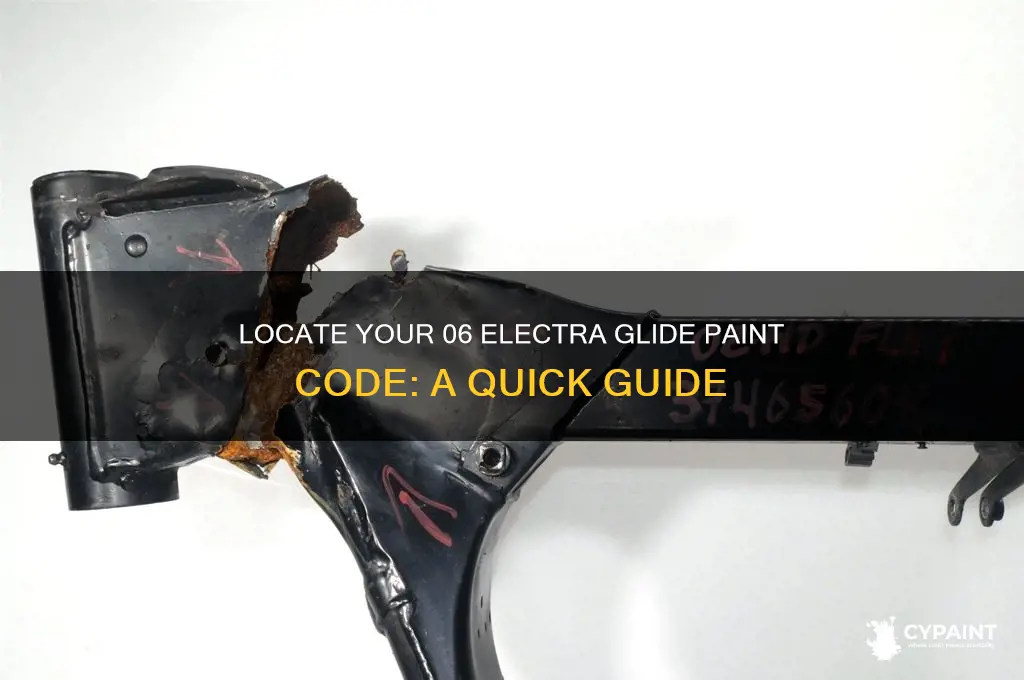 how to find the paint code for 06 electra glide