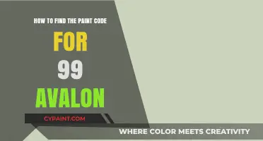Finding the Correct Paint Code for Your 99 Avalon