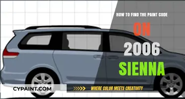 Finding Paint Codes: 2006 Sienna Edition