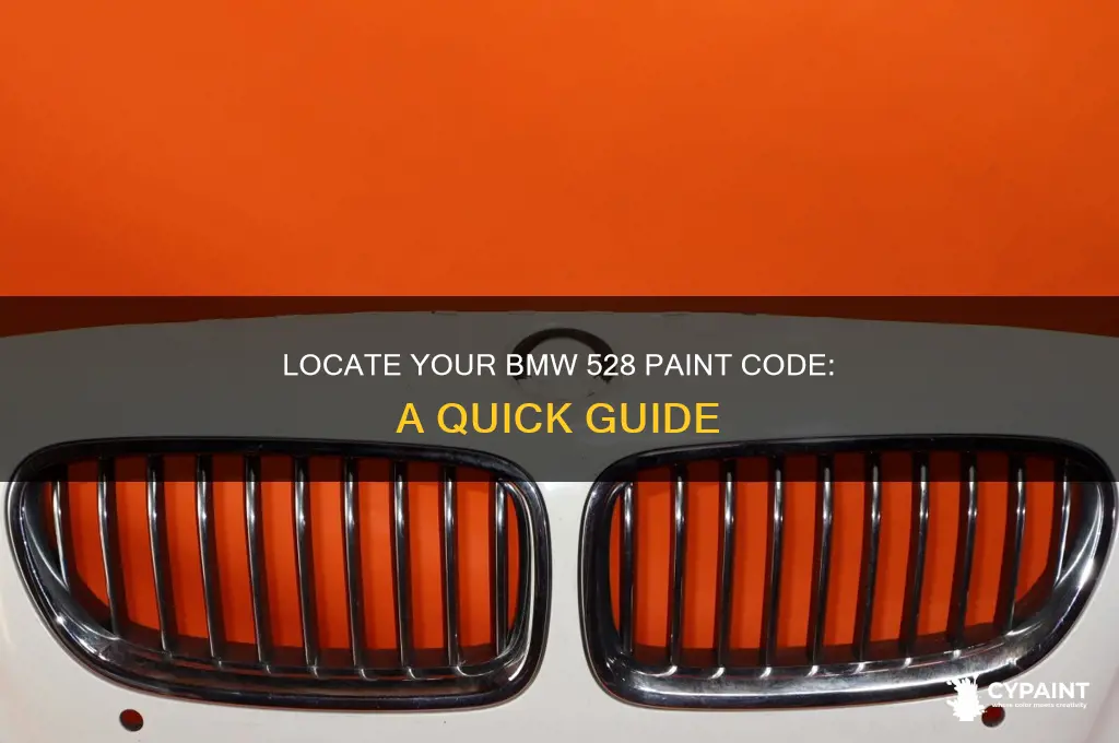 how to find the paint code on a bmw 528