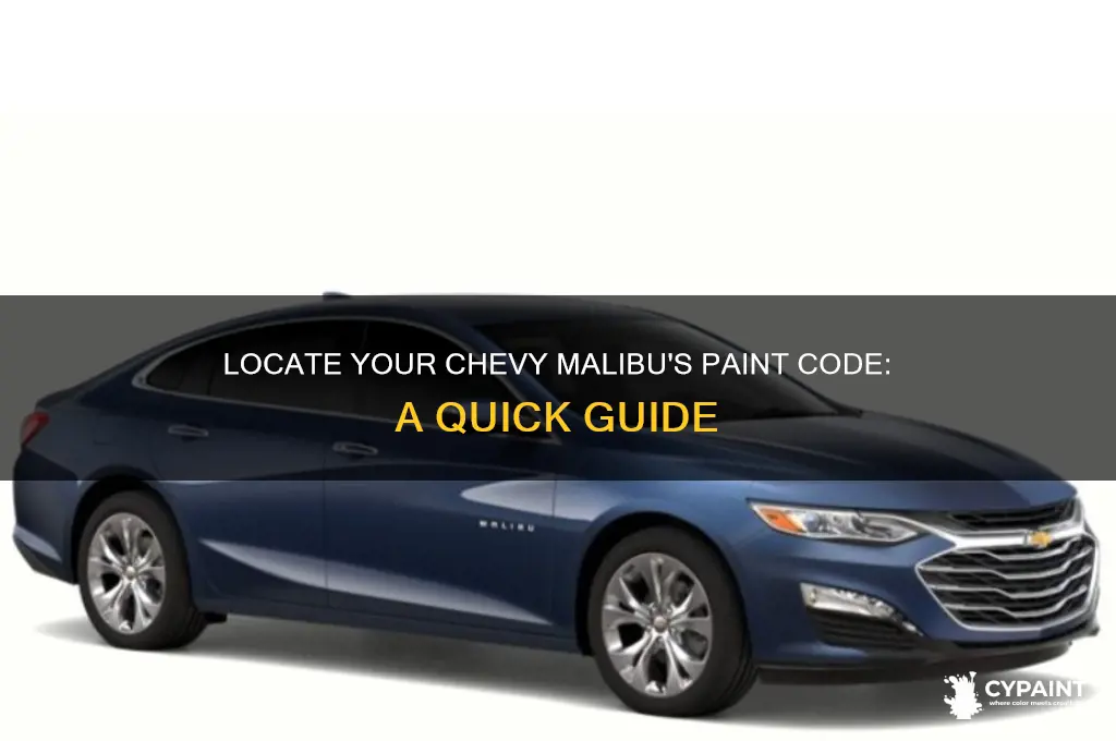 how to find the paint code on my chevy malibu