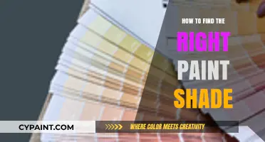 Choosing the Perfect Paint Shade: Tips for a Flawless Finish