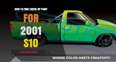 Finding the Perfect Touch-Up Paint for Your 2001 S10