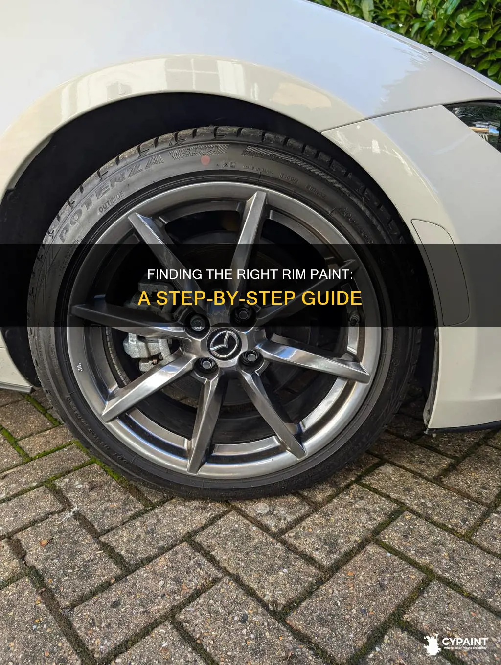 how to find your correct paint on your rim