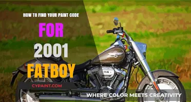 Finding the Paint Code for Your 2001 Fatboy