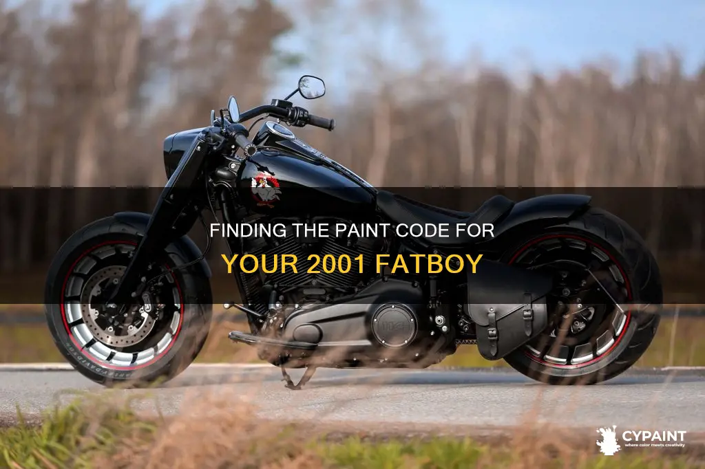 how to find your paint code for 2001 fatboy