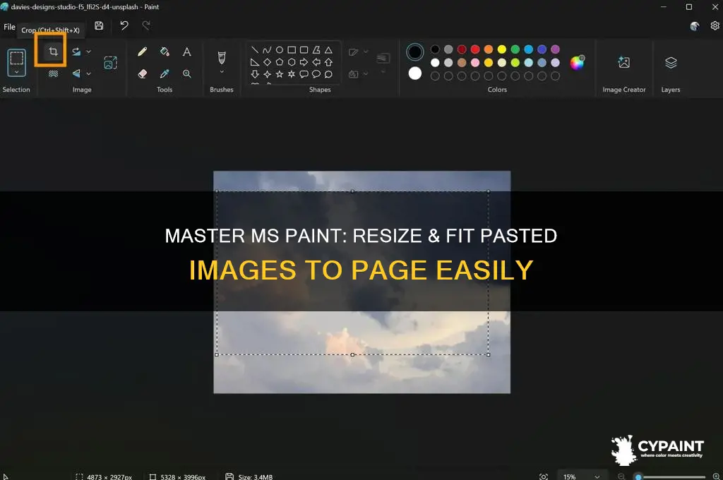 how to fit pasted image to page in ms paint