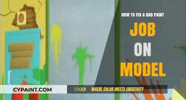Fixing a Poor Model Paint Job: Tips and Tricks