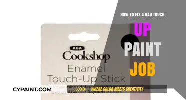Quick Tips to Fix a Poor Touch-Up Paint Job