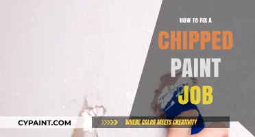 Quick DIY Guide: Repairing Chipped Paint Like a Pro