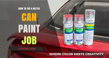 Revive Your Ride: DIY Guide to Fixing Rattle Can Paint Jobs